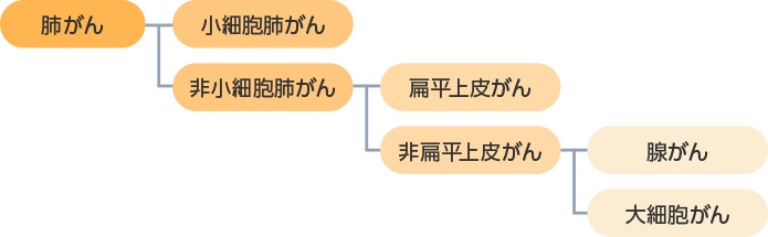肺がんの種類の図